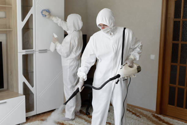 Best Post-Flood Mold Remediation in Bronson, MI