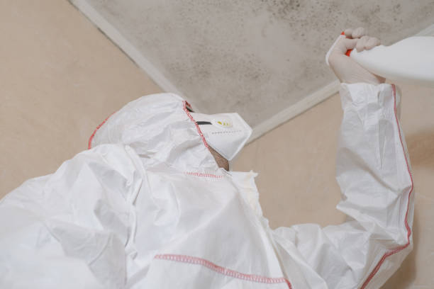 Best Attic Mold Remediation in Bronson, MI