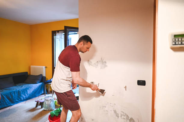 Best Preventive Mold Services in Bronson, MI